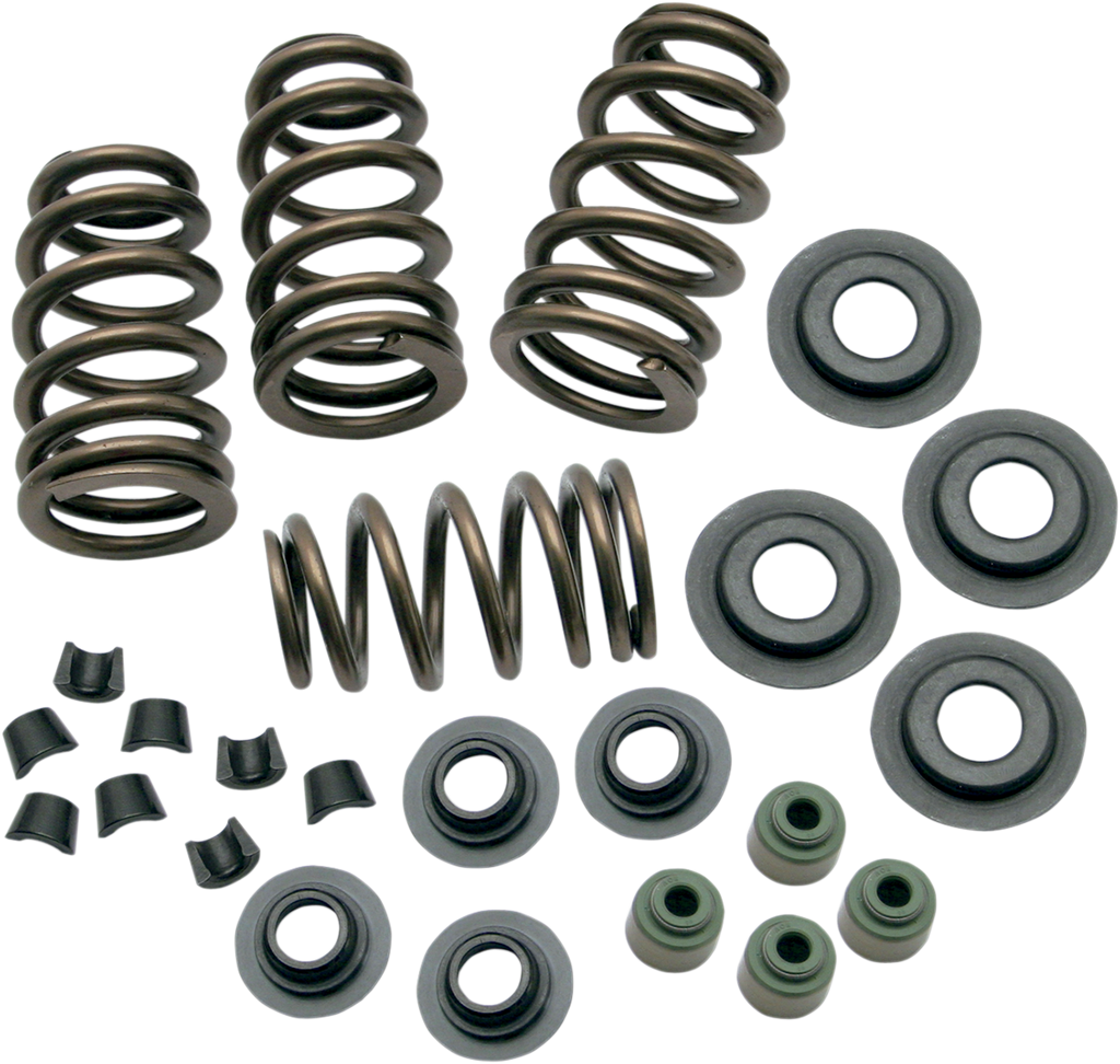 S&S CYCLE Valve Spring Kit - 0.650" - Sidewinder® - 88"/96"/103" Twin Cam '05-'17 106-5909 — image 1