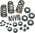 S&S CYCLE Valve Spring Kit - 0.650" - Sidewinder® - 88"/96"/103" Twin Cam '05-'17 106-5909 — image 1