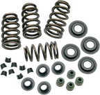 S&S CYCLE Valve Spring Kit - 0.650" - Sidewinder® - 88"/96"/103" Twin Cam '05-'17 106-5909 — image 1
