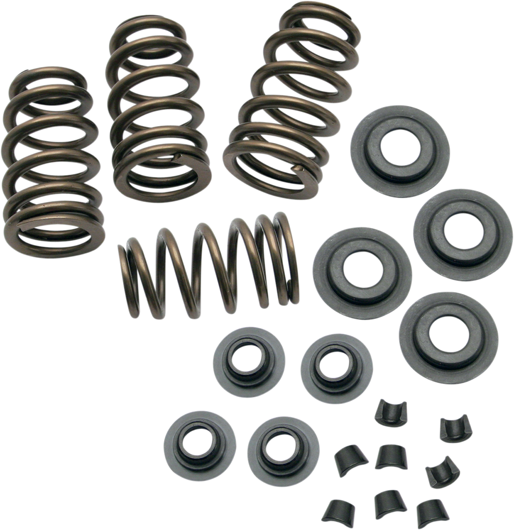 S&S CYCLE Valve Spring Kit - 0.650" - Sidewinder® - 88"/96"/103" Twin Cam '05-'17 106-5909 — image 2