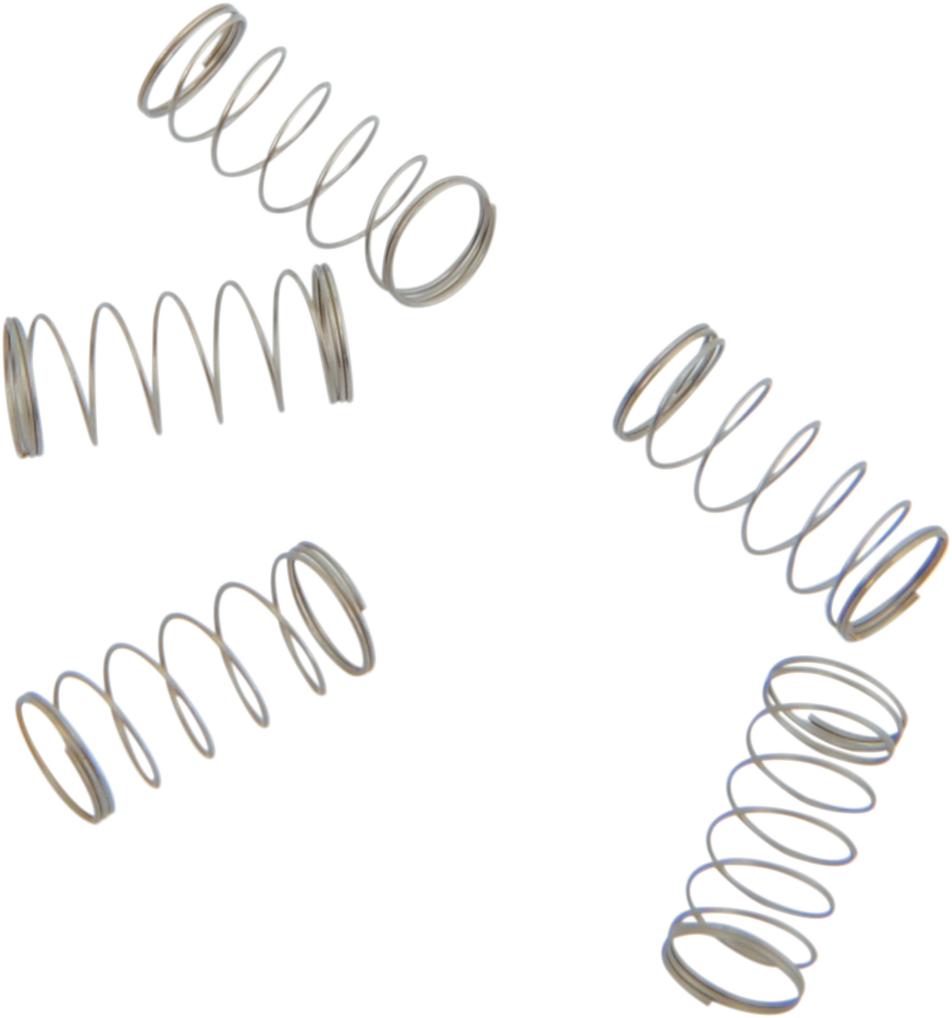 S&S CYCLE Springs - Check Ball - 5 Pack 11-2392 — image 1