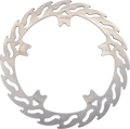 MOTO-MASTER Brake Rotor - Front Left - Flame 110765-PU — image 1