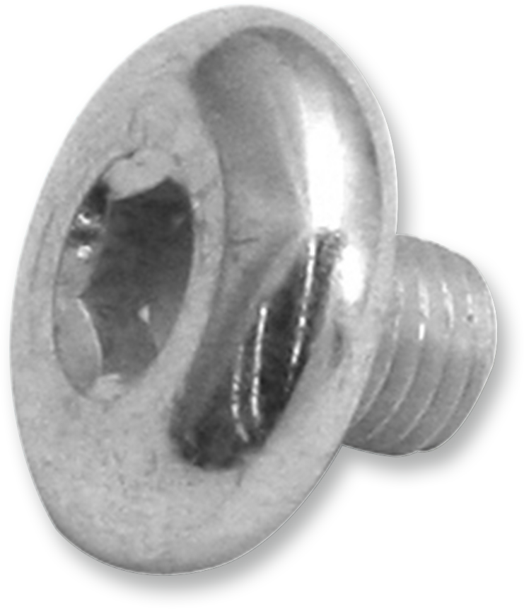 S&S CYCLE Replacement Air Cleaner Screw - Breather Screw - 5/16" 17-0346 — image 1