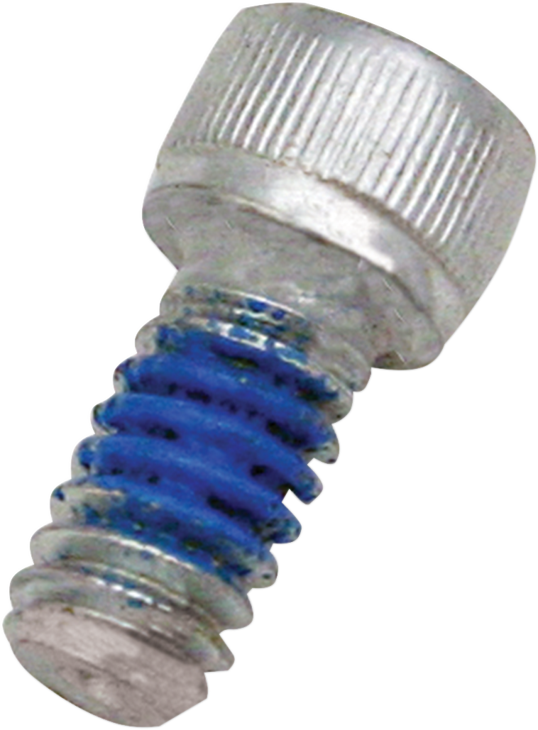 S&S CYCLE Replacement Air Cleaner Screw - Breather Screw - 5/16" 17-0346 — image 2