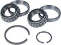 S&S CYCLE Bearing - Left 31-4013 — image 1