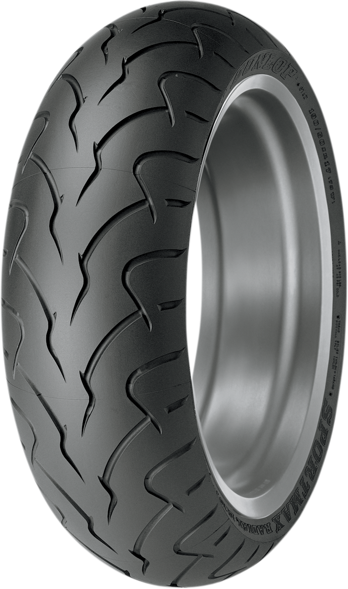DUNLOP Tire - D207 ZR - Rear - 180/55ZR18 - (74W) 45044160 — image 1