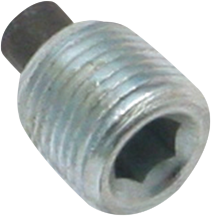S&S CYCLE Magnetic Plug - 1/8" NPT 50-8334 — image 1