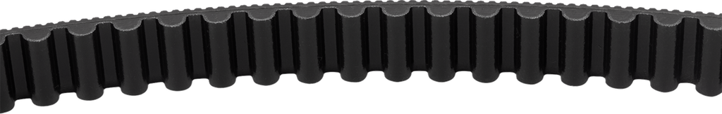 S&S CYCLE Drive Belt - 134 Tooth - 24 mm - M8 Softail 560-0397 — image 2