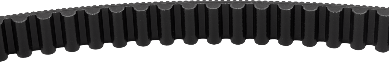 S&S CYCLE Drive Belt - 134 Tooth - 24 mm - M8 Softail 560-0397 — image 2