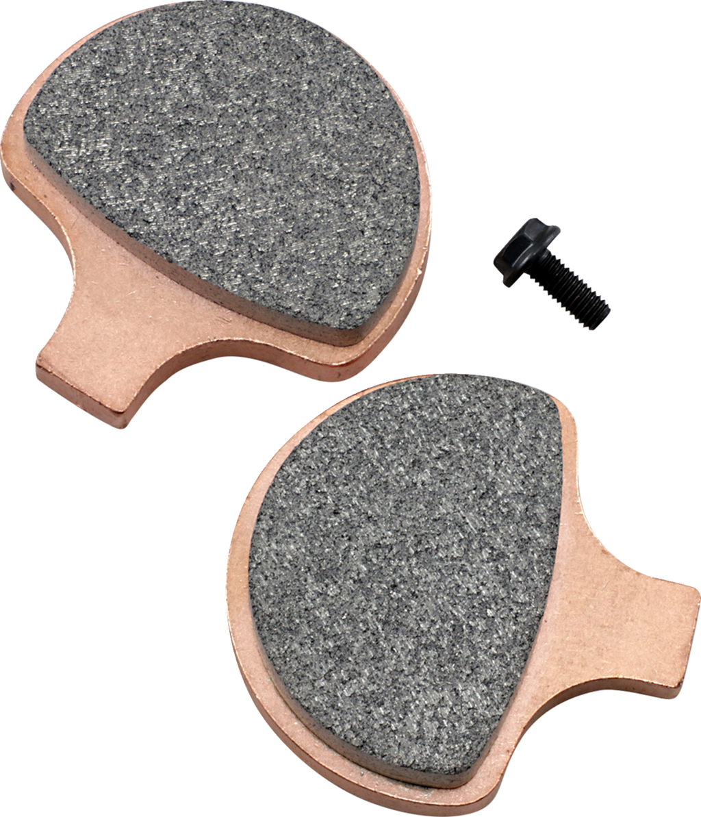 SBS Sintered Brake Pads - Harley-Davidson 579H.HS — image 1