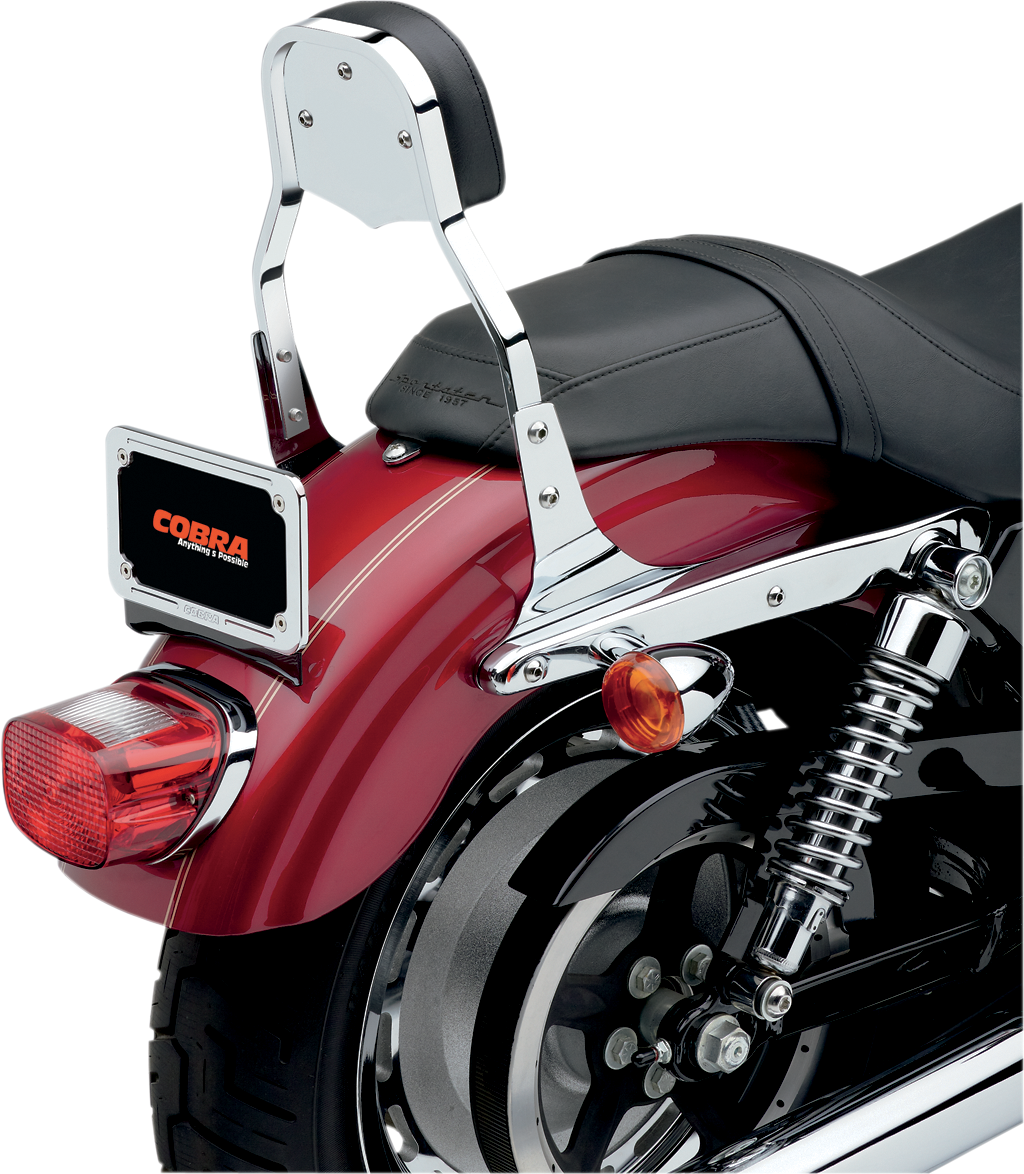 COBRA Mini Sissy Bar - XL '04-17 602-1103 — image 4