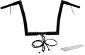 FAT BAGGERS INC. EZ Install Wired 1-1/4" Flat Top Handlebar Kit - 12" - Black 701912-B — image 1
