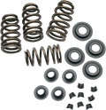S&S CYCLE Valve Spring Kit - 0.650" - Sidewinder® - Twin Cam '99-'04 | XL '86-'03 900-0050 — image 1