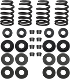 S&S CYCLE Valve Spring Kit - 0.585" - Twin Cam '05-'17 900-0594 — image 2