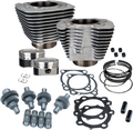 S&S CYCLE Hooligan Kit - 883 cc to 1200 cc - Silver Powdercoat - Sportster 910-0700 — image 1