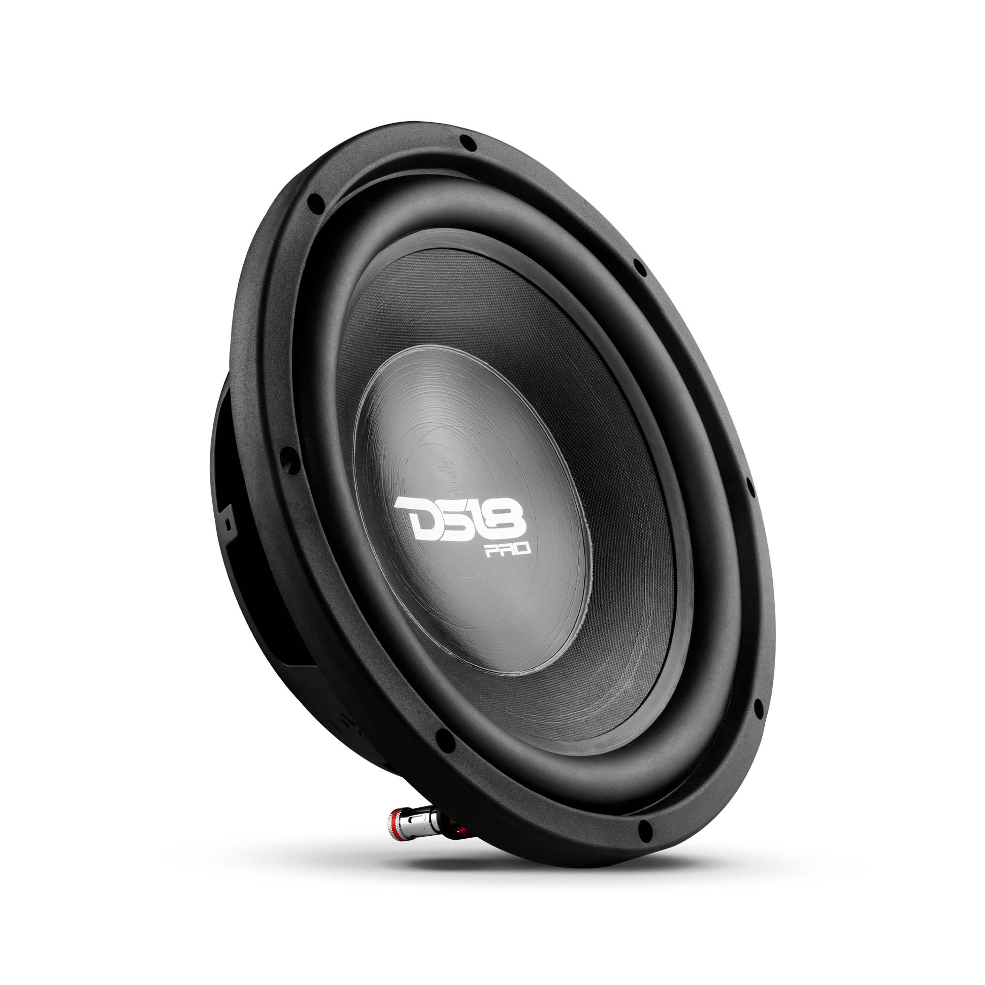 DS18 PRO-W10.2SNEO PRO 10" Neodymium Water Resistant Woofer 400 Watts Rms 2-Ohm SVC — image 1