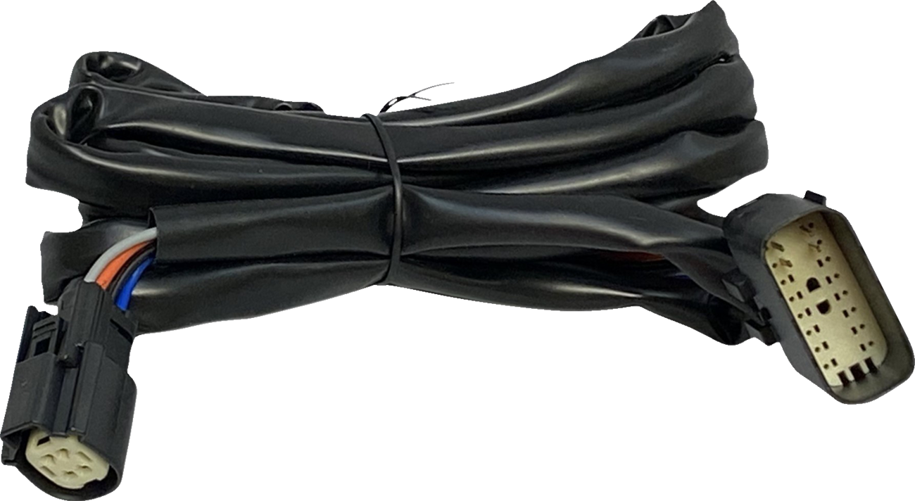 Custom Dynamics Speaker Power Harness for add-on Tour-Pak - CD-HARN-TP-2 — image 1