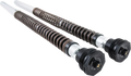 OHLINS Cartridge Kit - Front - NIX30 - Softail (FKS508) FKS 508 — image 1