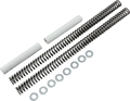 RACE TECH Fork Springs - 0.90 kg/mm - Harley-Davidson/Honda/Kawasaki FRSP S2341090 — image 1