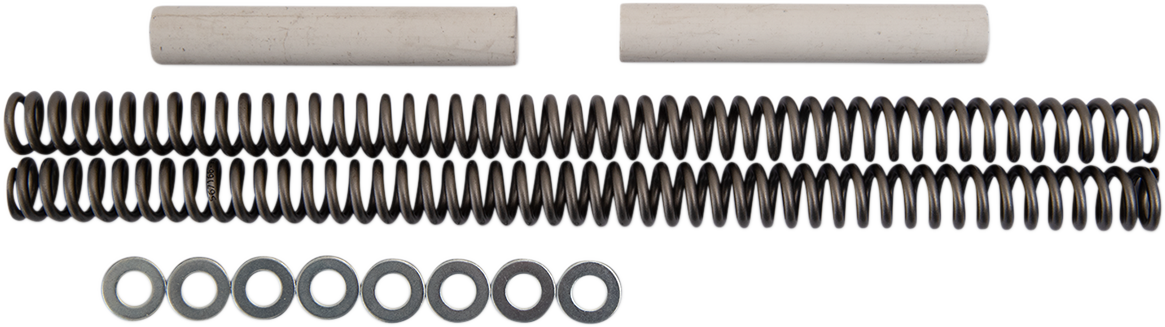RACE TECH Fork Springs - 1.00 kg/mm - Harley-Davidson/Honda/Kawasaki FRSP S2341100 — image 1