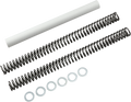 RACE TECH Fork Springs - 0.90 kg/mm - BMW/Harley-Davidson/Honda FRSP S2938090 — image 1