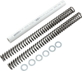 RACE TECH Fork Springs - 0.95 kg/mm - BMW/Harley-Davidson/Honda FRSP S2938095 — image 1