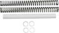 RACE TECH Fork Springs - 0.80 kg/mm - BMW/Harley-Davidson/Honda FRSP S3234080 — image 1