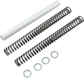 RACE TECH Fork Springs - 1.0 kg/mm - BMW/Harley-Davidson/Honda FRSP S3234100 — image 1