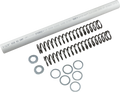 RACE TECH Fork Springs - 0.95 kg/mm FRSP S4430095 — image 1