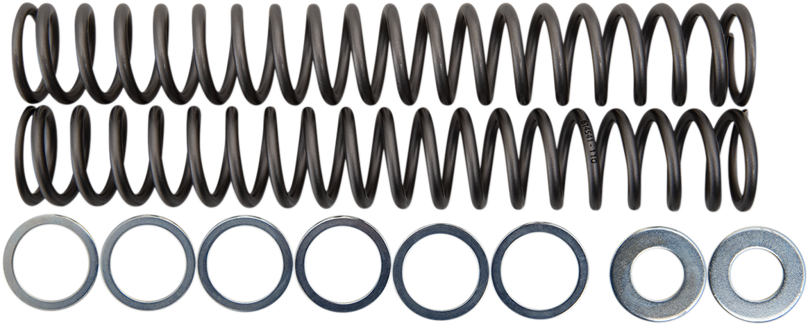 RACE TECH Fork Springs - 1.10 kg/mm FRSP S4430110 — image 1