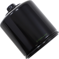 HIFLOFILTRO Performance Oil Filter - Black HF170BRC — image 1