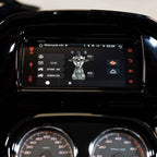 Diamond Audio MSHD14 2014-2023 Plug-N-Play Digital Media Receiver for Harley-Davidson Touring — image 7