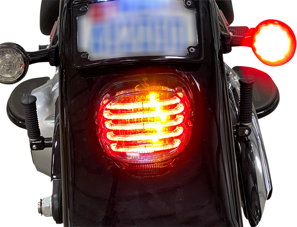 CUSTOM DYNAMICS Taillight/Turn Signal - Bottom Window - Red Lens PB-TL-INT-BW-R — image 1