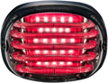CUSTOM DYNAMICS Taillight - with License Plate Illumination Window - Smoke PB-TL-SBW-S — image 1