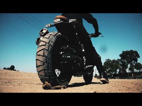 Dunlop - Tarmac To Terrain:  Motorcycle Tires